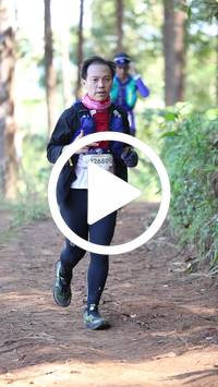 BIB:  <button type="button" onclick="openModal(26568265)" class="btn btn-primary btn-sm float-right" data-toggle="modal" data-target=".modal-high-quality">
                <i class="fa fa-download"></i> Download
                </button>